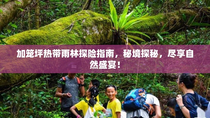 加籠坪熱帶雨林探險指南，秘境探秘，盡享自然盛宴！