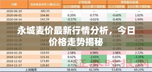 永城麥價最新行情分析，今日價格走勢揭秘