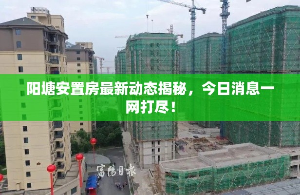 陽塘安置房最新動態(tài)揭秘，今日消息一網(wǎng)打盡！