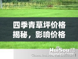 四季青草坪價格揭秘，影響價格的因素全解析