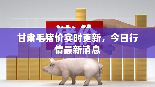 甘肅毛豬價(jià)實(shí)時(shí)更新，今日行情最新消息