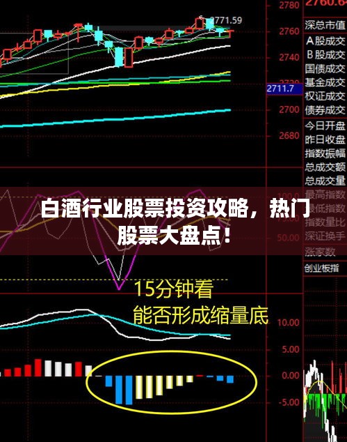 白酒行業(yè)股票投資攻略，熱門股票大盤點(diǎn)！
