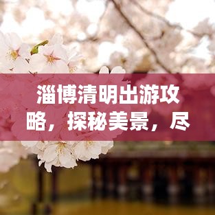 淄博清明出游攻略，探秘美景，盡享文化盛宴！