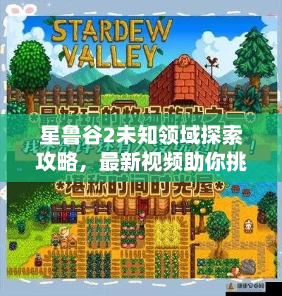 星魯谷2未知領(lǐng)域探索攻略，最新視頻助你挑戰(zhàn)極限！