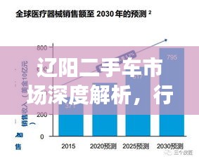遼陽二手車市場深度解析，行情、趨勢與前景展望