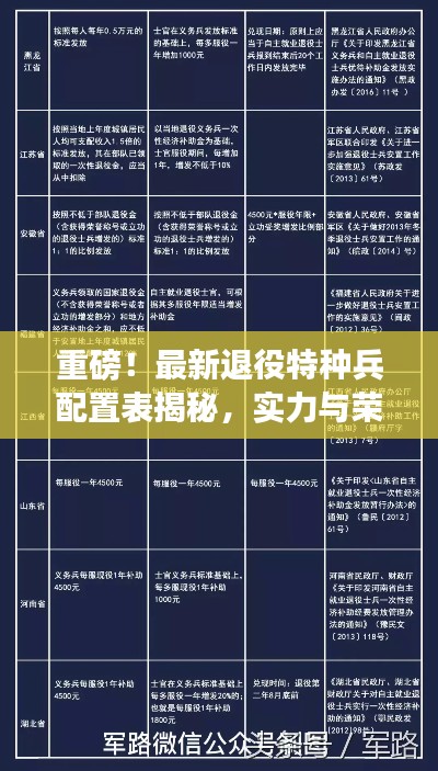 重磅！最新退役特種兵配置表揭秘，實力與榮耀并存