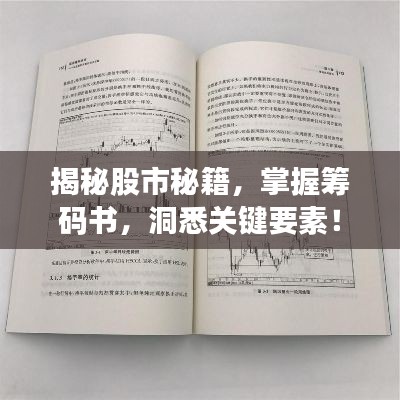 揭秘股市秘籍，掌握籌碼書，洞悉關(guān)鍵要素！