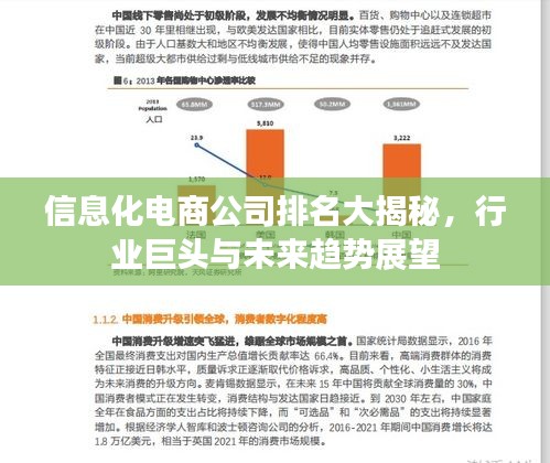 信息化電商公司排名大揭秘，行業(yè)巨頭與未來趨勢展望