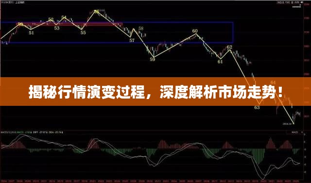 揭秘行情演變過程，深度解析市場走勢！