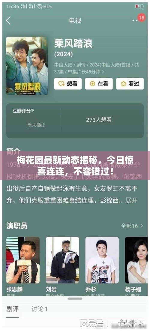 梅花園最新動態(tài)揭秘，今日驚喜連連，不容錯過！