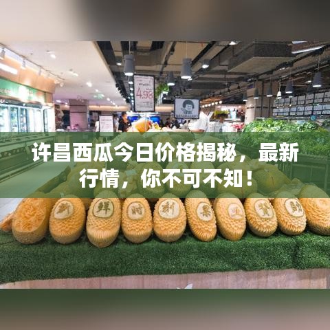 許昌西瓜今日價(jià)格揭秘，最新行情，你不可不知！