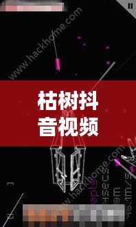 枯樹抖音視頻，探索最新版視頻世界，體驗(yàn)獨(dú)特魅力