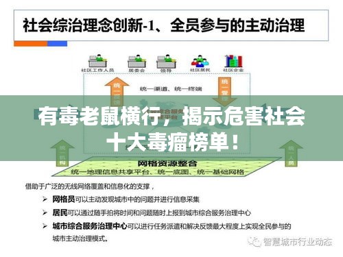 有毒老鼠橫行，揭示危害社會(huì)十大毒瘤榜單！