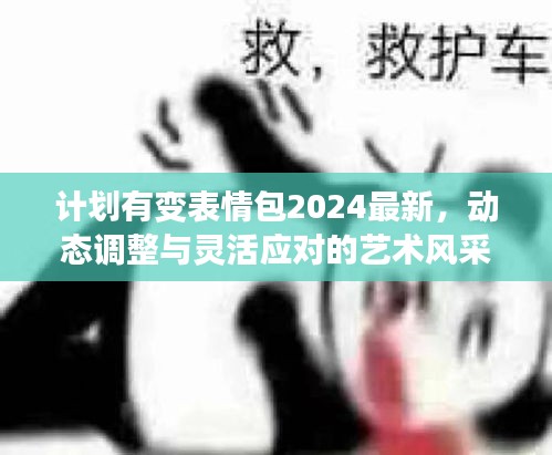 計(jì)劃有變表情包2024最新，動(dòng)態(tài)調(diào)整與靈活應(yīng)對(duì)的藝術(shù)風(fēng)采