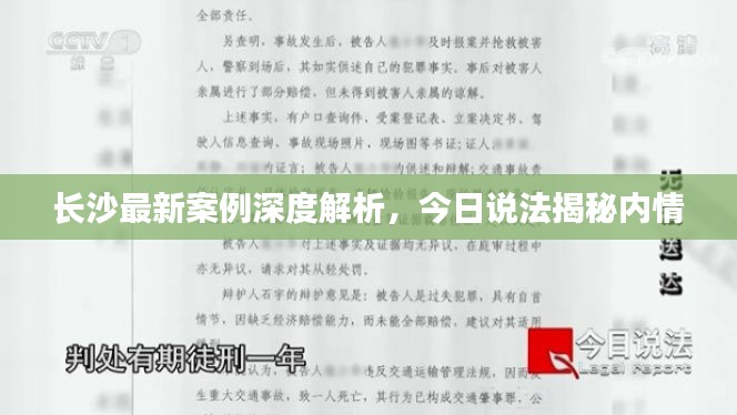 長(zhǎng)沙最新案例深度解析，今日說(shuō)法揭秘內(nèi)情