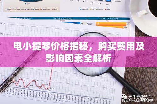 電小提琴價格揭秘，購買費用及影響因素全解析