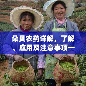 朵貝農(nóng)藥詳解，了解、應(yīng)用及注意事項(xiàng)一網(wǎng)打盡