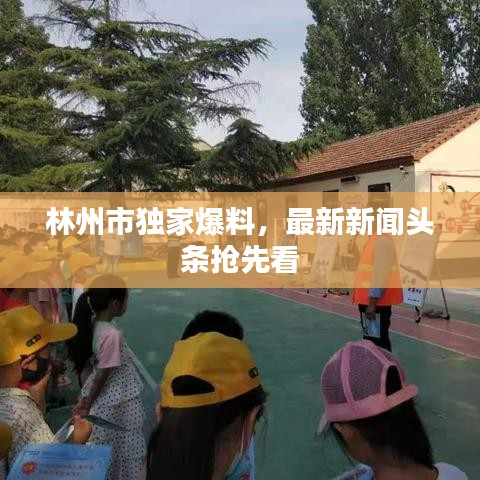 林州市獨家爆料，最新新聞頭條搶先看