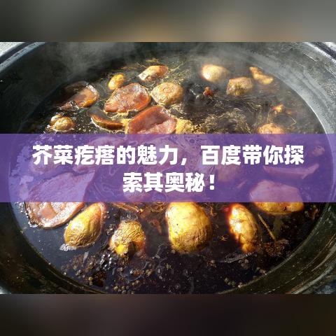 芥菜疙瘩的魅力，百度帶你探索其奧秘！