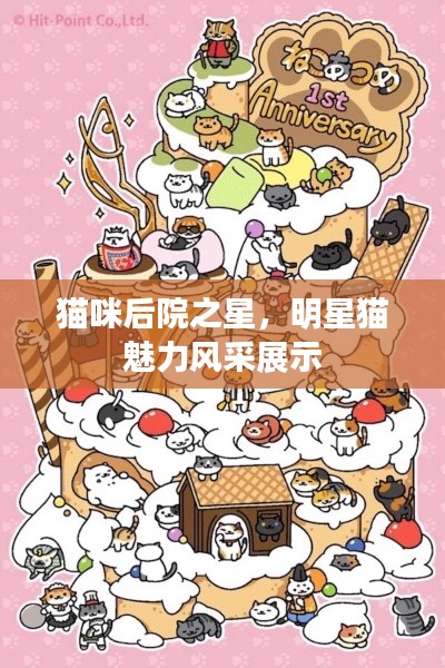 貓咪后院之星，明星貓魅力風采展示