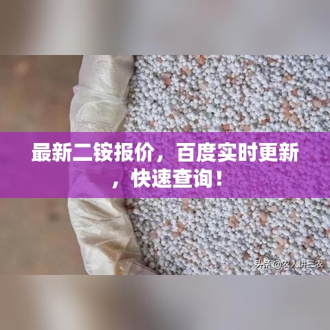 最新二銨報價，百度實(shí)時更新，快速查詢！