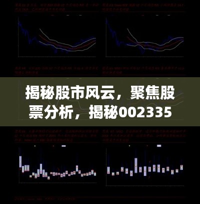 揭秘股市風(fēng)云，聚焦股票分析，揭秘002335股票動(dòng)態(tài)與前景展望