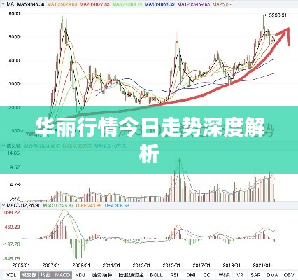 華麗行情今日走勢(shì)深度解析