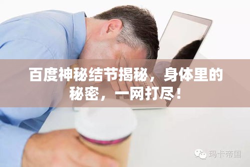 百度神秘結(jié)節(jié)揭秘，身體里的秘密，一網(wǎng)打盡！