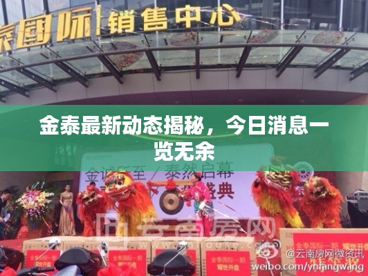 金泰最新動(dòng)態(tài)揭秘，今日消息一覽無(wú)余