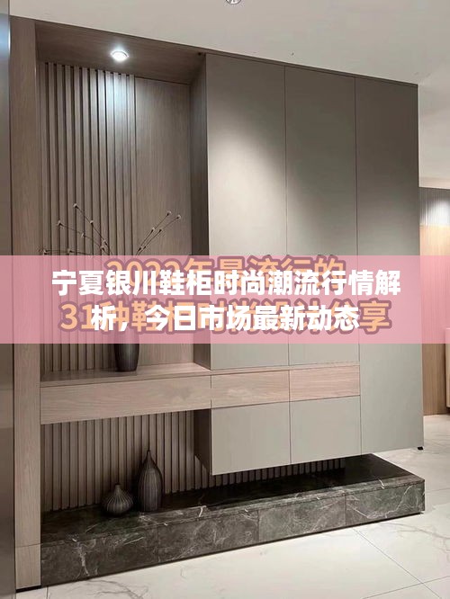 寧夏銀川鞋柜時(shí)尚潮流行情解析，今日市場(chǎng)最新動(dòng)態(tài)