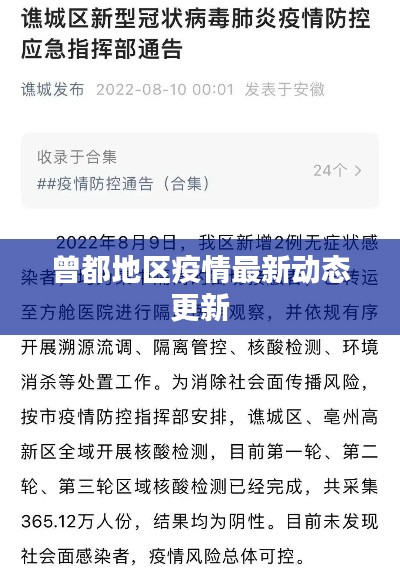 曾都地區(qū)疫情最新動態(tài)更新