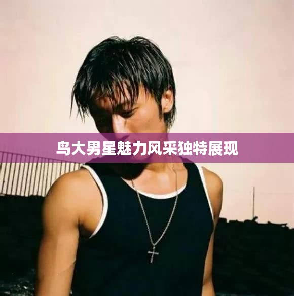 鳥大男星魅力風(fēng)采獨特展現(xiàn)