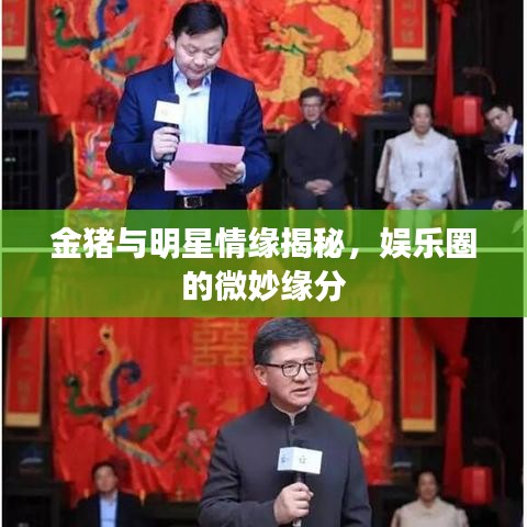 金豬與明星情緣揭秘，娛樂圈的微妙緣分
