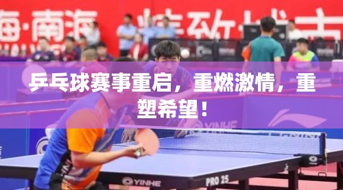 乒乓球賽事重啟，重燃激情，重塑希望！