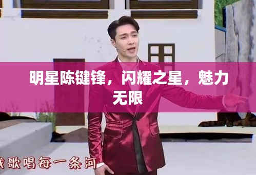 明星陳鍵鋒，閃耀之星，魅力無限