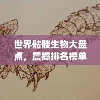 世界骷髏生物大盤點，震撼排名榜單