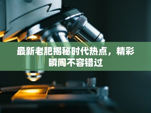 最新老肥揭秘時代熱點，精彩瞬間不容錯過