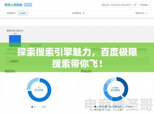 探索搜索引擎魅力，百度極限搜索帶你飛！