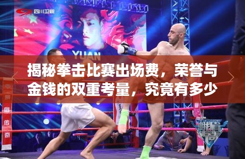 揭秘拳擊比賽出場費(fèi)，榮譽(yù)與金錢的雙重考量，究竟有多少？