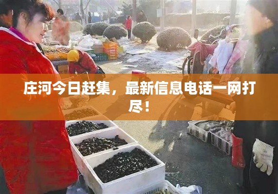 莊河今日趕集，最新信息電話一網(wǎng)打盡！