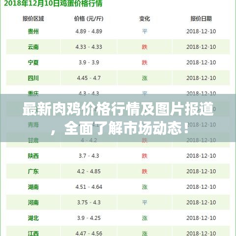 最新肉雞價(jià)格行情及圖片報(bào)道，全面了解市場動(dòng)態(tài)！