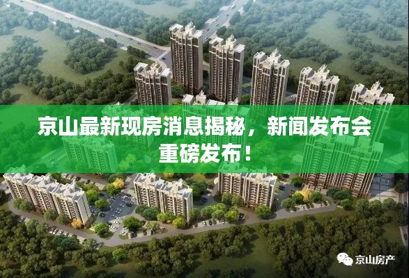 京山最新現(xiàn)房消息揭秘，新聞發(fā)布會(huì)重磅發(fā)布！