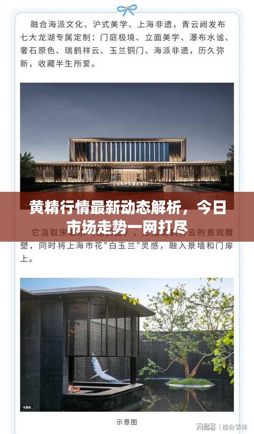 黃精行情最新動(dòng)態(tài)解析，今日市場走勢一網(wǎng)打盡